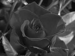 Contrast Stretching Using Matplotlib